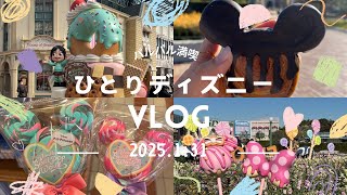 【ディズニーvlog】1人でのんびりパルパルーザを楽しんだ日（2025.1）