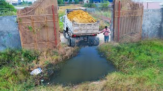 Wonderful Project!! Bulldozer \u0026 Truck 5T Push Siol Into Water Filling Flooded Land