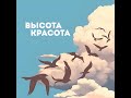 Высота красота