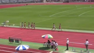 2016京都府高校総体・2年男子1500m 予選第2組