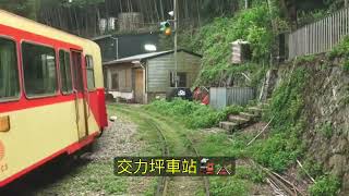 阿里山林業鐵路上山路程景（前面展望）（交力坪🚂🛤️=》水社寮🚂🚂）（縮時4m22s)Ep.6