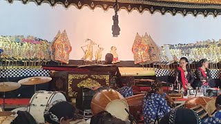 Live Goro goro wayang kulit