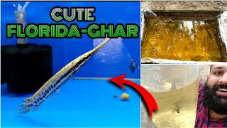 FLORIDA Gar Fish malayalam|Monster GAR Fish|Alligator gar|predatorfish|superman613