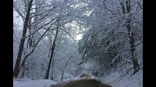 Caribbean Winter?