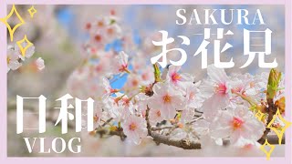 【桜満開】お花見してきました。