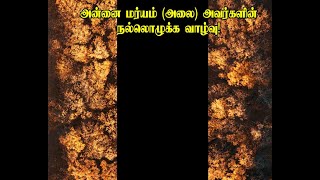 அன்னை மர்யம் (அலை) அவர்களின் நல்லொழுக்க வாழ்வு!