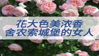 花大色美浓香月季—舍农索城堡的女人！