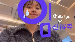 vlog 아기 심박수가 빠르다고요..? 산 넘어 산인 임신 14주 | 나 때문일까 고민하는 초보 임산부 |  눈물이 자주 나는건 호르몬의 장난일까..^^