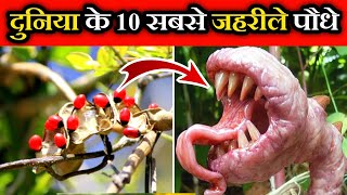 दुनिया के 10 सबसे जहरीले पौधे | 10 Most poisonous plants in the world | 10 most dangerous plants