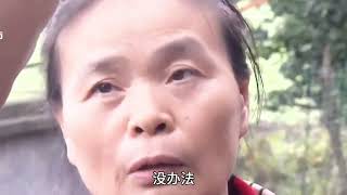 兒媳懷孕南瓜過量，婆婆卻說這句讓人唏噓的話！ #婚姻 #家庭紛爭 #財富分配 #離婚 #保姆生活