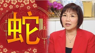 麥玲玲：屬蛇嘅朋友豬年沖太歲 宜動不宜靜