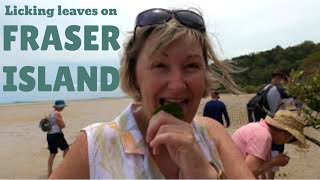 FRASER ISLAND AUSTRALIA | Queensland, Australia Travel Vlog 050, 2020