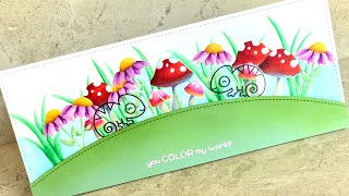 Modified double slider card
