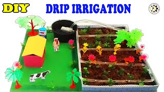DIY WORKING MODEL OF DRIP IRRIGATION ||  SCIENCE FAIR PROJECT WORKING || PROJECT SOLUTION DIY
