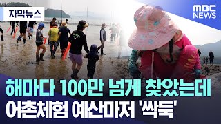 [자막뉴스] 해마다 100만 넘게 찾았는데 어촌체험 예산마저 '싹둑' (MBC뉴스)