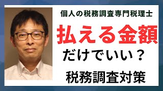 個人事業主の税務調査による追徴税額は払える金額だけになる？お金が無いからといって税金を減額してくれることなんてない