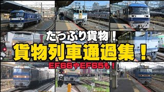 【貨物たっぷり!!!】貨物列車通過集