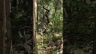 अबुझमाड़ का घनघोर जंगल नारायणपुर Chhattisgarh || abujhmad ka jungle duty STF commandos 🌍😱🫡