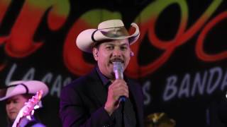 LA LEY DE MICHOACAN - COCHOS DE GUERRERO (EN VIVO)