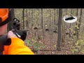 Wild boar driven hunting fever in November compilation!