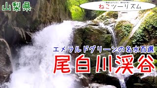 【猫と旅行】名水百選トレッキング『尾白川渓谷』【山梨県】