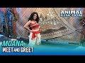 Moana Meet and Greet at Disney’s Animal Kingdom