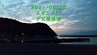 2021/06/28 子父雁漁港 エギング!?