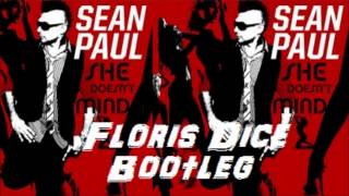 Sean Paul - She Doesn't Mind (Floris Dice Bootleg) (Preview)