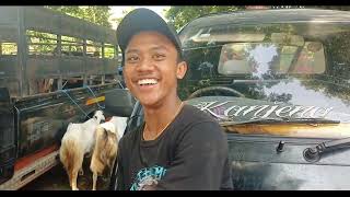 Update terbaru harga kambing‼️di pasar kambing wlingi blitar jatim selasa 9 agustus 2024