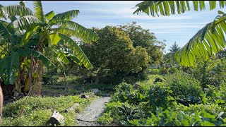 Unbelievable transformation of 8 acre construction lot into farm for food insecure!