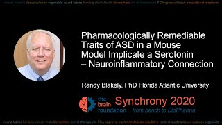 Treatable Traits of Autism Implicate Serotonin–Neuroinflammation – R. Blakely PhD @Synchrony2020