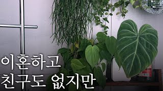 🔆외로움을 느끼지 않는 내가 살아가는 방식 | 외로움은 내 생각이 만들어 낸 감정이라고 생각할 뿐, 아무것도 아니라고 생각하기에...