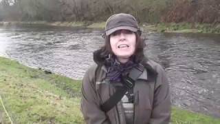 River Annan Grayling Day