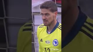 Bosanski komentator Bih 1-3 Finska