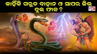 କାହିଁକି ଗରୁଡ ବାହାନ ଓ ସାପର ଜିଭ ଦୁଇ ଫାଳ | Odia Devotional Story | Odia Mythological Story