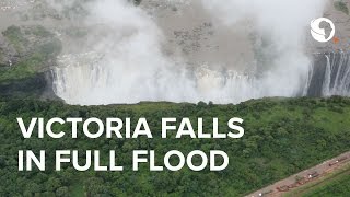 Victoria Falls in full flood | Go2Africa Safaris