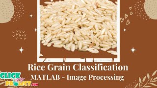 Matlab Image Processing - Rice Grain Classification Using Multi Class SVM - ClickMyProject