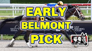 Belmont Stakes 2024 | Why Mindframe Is My Early Win Pick