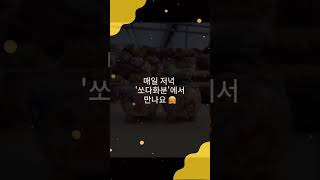 #쏘다화분🪴  22.08.04 쏘다화분 고객님들의 소중한 후기 | #다육이 #다육이화분 #화분