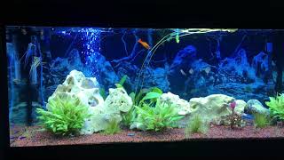 Fish tank 350 liters