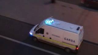 Garda Police van