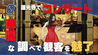 華麗な調べ 観客を魅了、蓮光寺で市出身の渡邊さんコンサート【宇部】