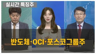 [실시간 특징주] 반도체·OCI·포스코그룹주 김민수 레몬리서치 대표 , 임순재 루크투자연구소 대표 대표