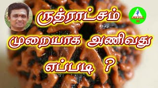 ருத்ராட்சம் முறையாக  அணிவது எப்படி? rudrakcham in tamil...