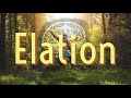 Just Wisdom - Elation