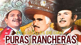 VICENTE FERNANDEZ, ANTONIO AGUILAR, JOSE ALFREDO JIMENEZ, CORNELIO REYN - RANCHERAS MEXICANAS