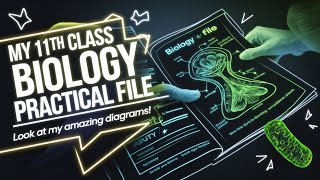 My 11th class biology practical file | Look at my amazing diagrams🔬🤍🥼#trending #viral #drawing #neet