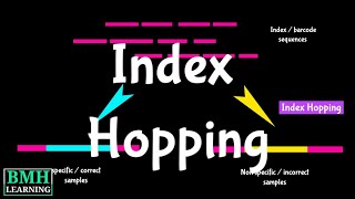 Index Hopping | Index Switching |