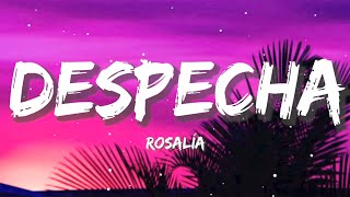 ROSALÍA - DESPECHA (Letra/Lyrics)