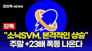 [소닉SVM] 본격적인 상승의 신호탄! 오픈넷 출시 앞두고 대형 고래 진입 포착! 5,000% 상승까지 간다!